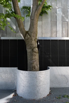 wacholderweg mai 2025 dsc wacholderweg mai 2025 dsc