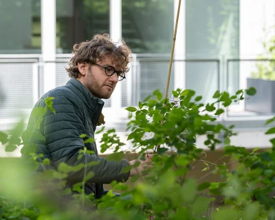 wacholderweg mai 2025 dsc wacholderweg mai 2025 dsc