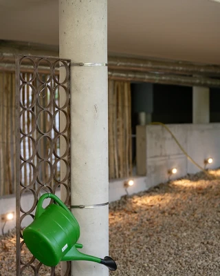 wacholderweg mai 2025 dsc wacholderweg mai 2025 dsc